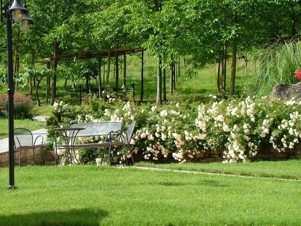 Agriturismo Podere La Casaccia Poppi Eksteriør bilde